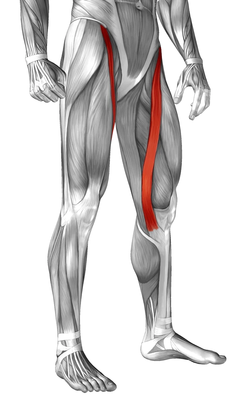 Supine Hip Abduction  Illustrated Exercise Guide