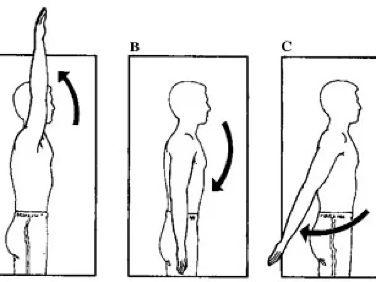 Shoulder flexion and extension