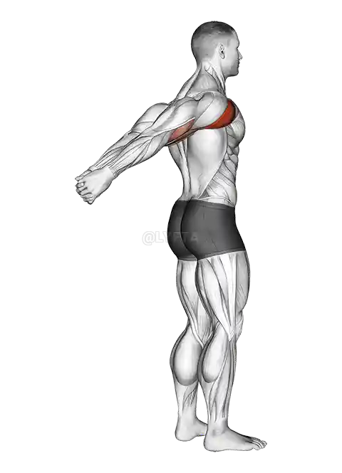 Standing chest and shoulder stretch