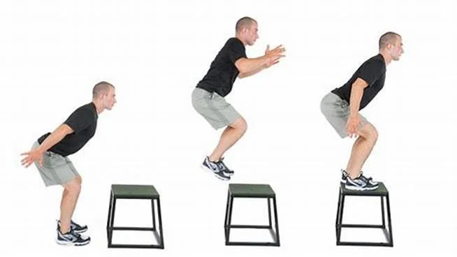 box-jump-squats