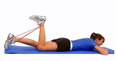prone-hamstring-curl-exercise-