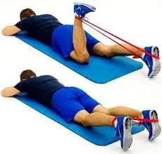 prone-hamstring-curl