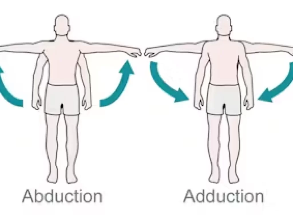 shoulder abduction and adduction
