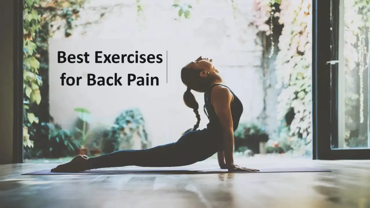 Best Exercises for Back Pain
