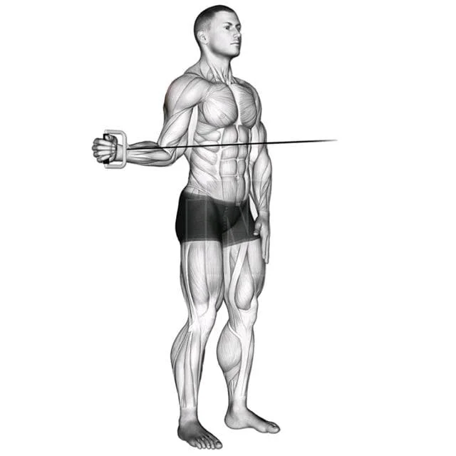 Cable External Rotation