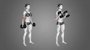 Dumbbell Hammer Curls