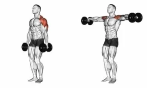 Dumbbell Lateral Raise