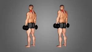 Dumbbell Shrugs