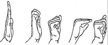 Fist Exercises