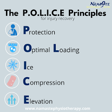 POLICE PRINCIPLE