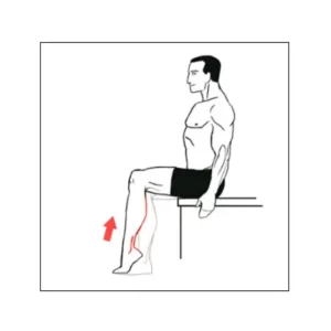 Seated Foot & Heel Raise