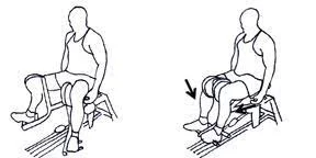 Seated-Hip-Adduction