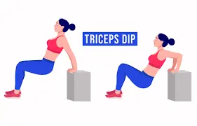 Triceps-dip- exercise