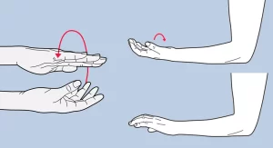 Wrist-turn-exercise