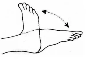 ankle-toe-movement
