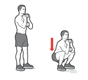 goblet squats