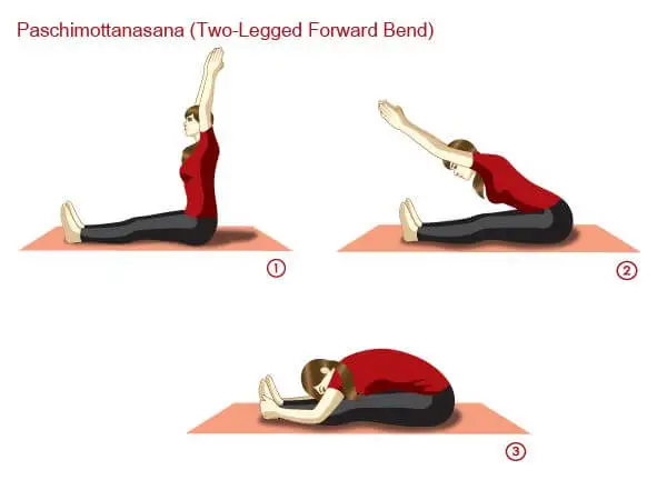 seated forward bend