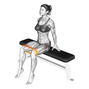 seated-hip-abduction