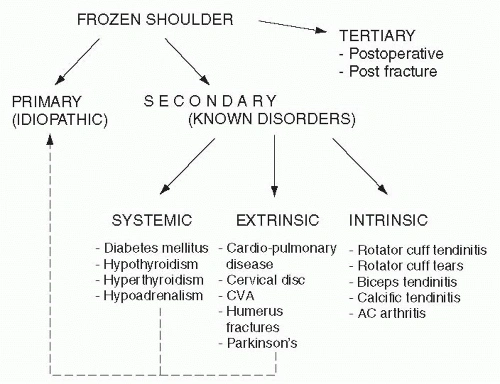 Classification of the Frozen Shoulder