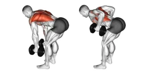Dumbbell-Bent-Over-Row