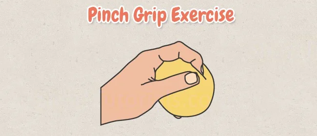 Pinch Grip Exercise