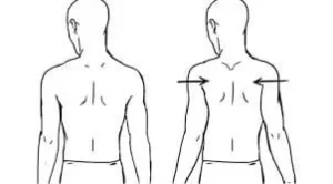 Scapular retraction