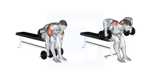 Seated-Bent-Over-Row-