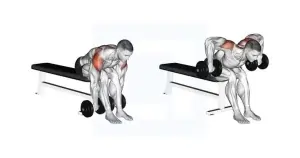 Seated Bent-Over Row