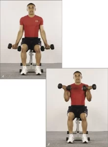 Seated-Biceps-Curl