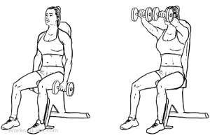 Seated front shoulder raises