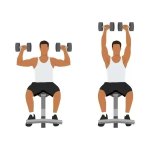 Seated shoulder press