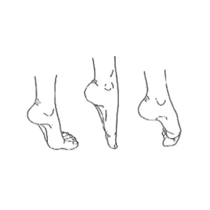 Toe-raise-point-and-curl-