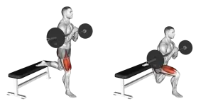 Zercher Bulgarian Split Squat