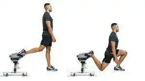 bulgarian split squat exercise