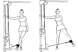 cable-hip-adductor