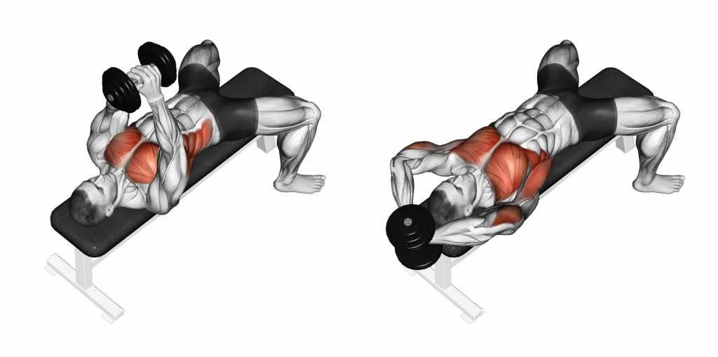 dumbbell pullover exercise