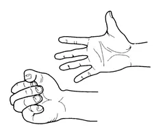 hand clench exercise
