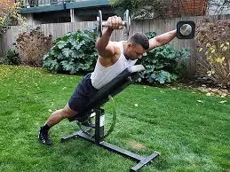 incline dumbbell y raises