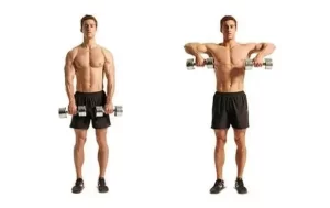 upright-row-exercise