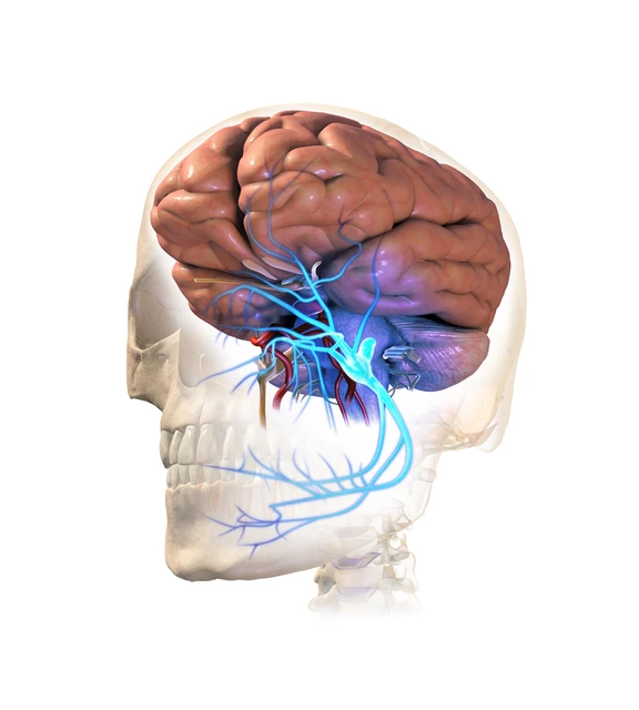 Glossopharyngeal Neuralgia