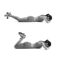 Lying-hamstring-curl