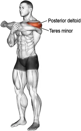 Deltoid Muscle Pain Causes Symptoms Treatment Deltoid Muscle Pain Causes Symptoms Treatment