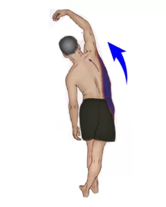 Quadratus Lumborum Stretch