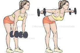 Standing-bent-over-lateral-raise