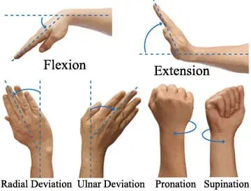 Wrist ROM Exercises