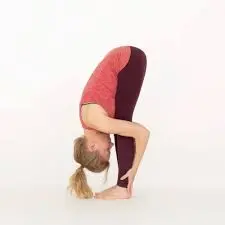 forward bend