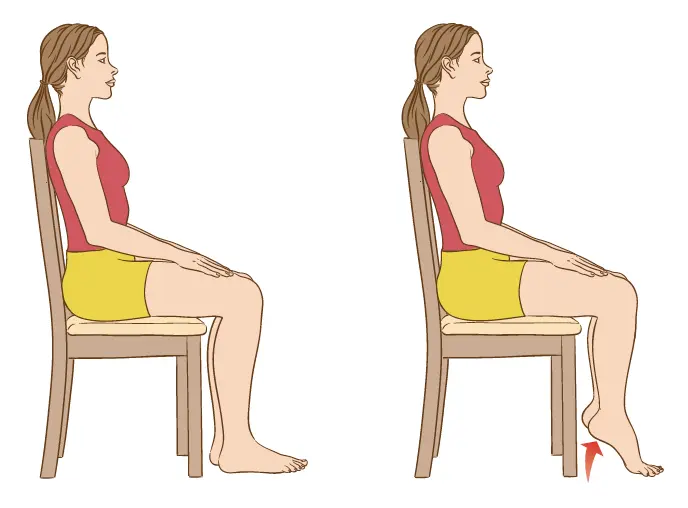 seated-toe-raises