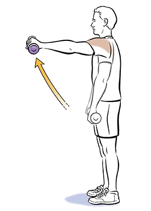 shoulder-flexion