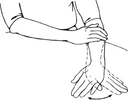 Ulnar and radial deviation (side to side)