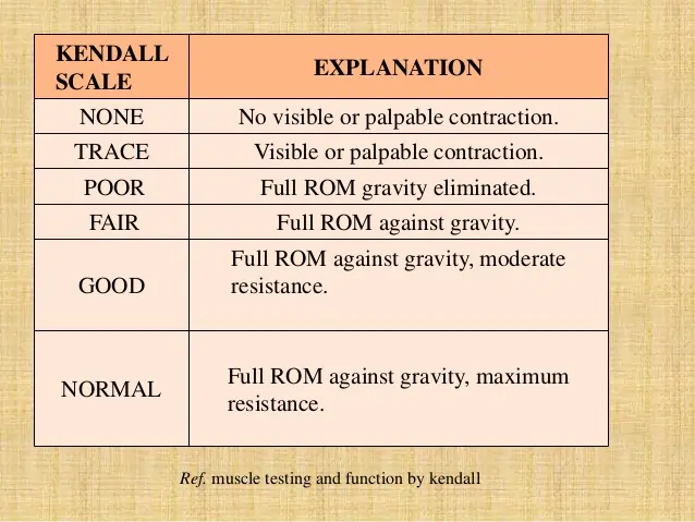 Kendall scale